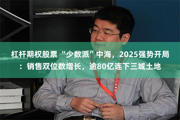 杠杆期权股票 “少数派”中海，2025强势开局：销售双位数增长，逾80亿连下三城土地