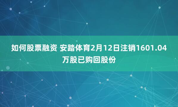 如何股票融资 安踏体育2月12日注销1601.04万股已购回股份