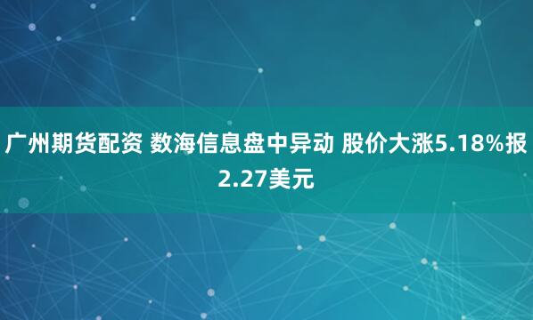 广州期货配资 数海信息盘中异动 股价大涨5.18%报2.27美元