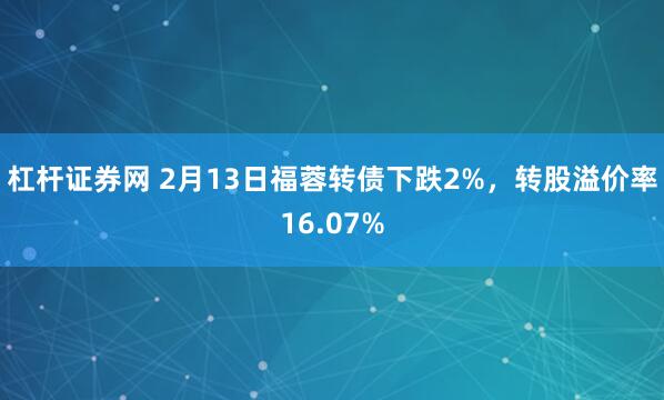 杠杆证券网 2月13日福蓉转债下跌2%，转股溢价率16.07%