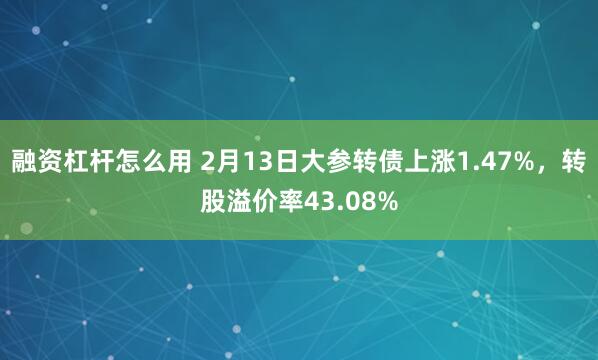 融资杠杆怎么用 2月13日大参转债上涨1.47%，转股溢价率43.08%