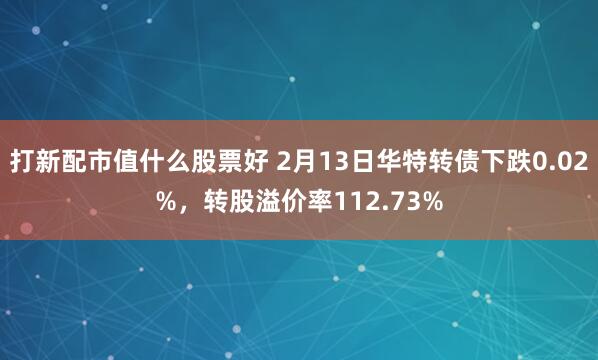 打新配市值什么股票好 2月13日华特转债下跌0.02%，转股溢价率112.73%