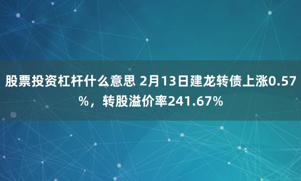 股票投资杠杆什么意思 2月13日建龙转债上涨0.57%，转股溢价率241.67%