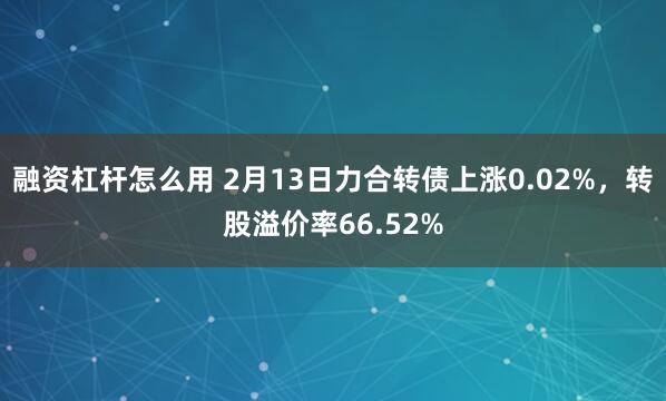 融资杠杆怎么用 2月13日力合转债上涨0.02%，转股溢价率66.52%