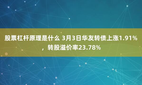 股票杠杆原理是什么 3月3日华友转债上涨1.91%，转股溢价率23.78%