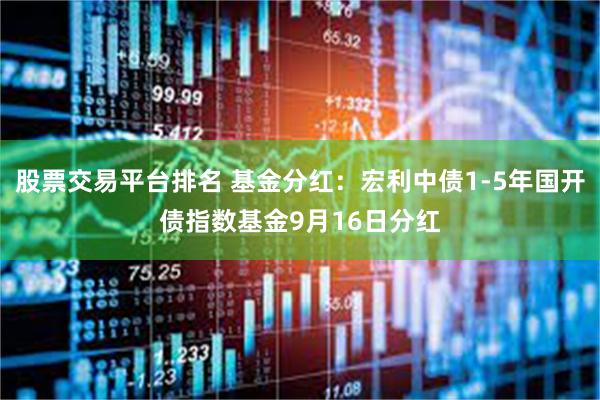 股票交易平台排名 基金分红：宏利中债1-5年国开债指数基金9月16日分红