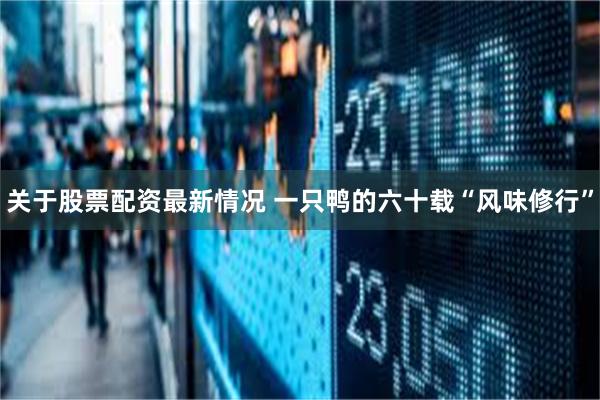 关于股票配资最新情况 一只鸭的六十载“风味修行”