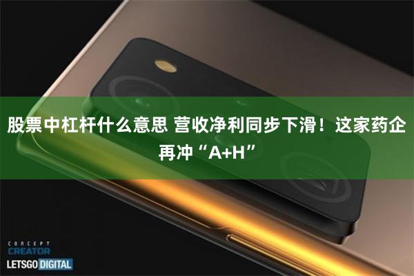 股票中杠杆什么意思 营收净利同步下滑！这家药企再冲“A+H”