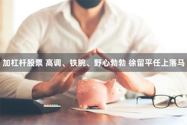 加杠杆股票 高调、铁腕、野心勃勃 徐留平任上落马