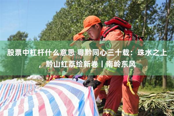 股票中杠杆什么意思 粤黔同心三十载：珠水之上，黔山红荔绘新卷丨南岭东风