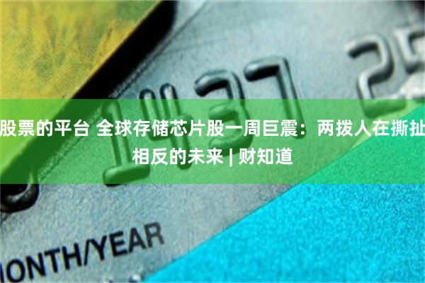 股票的平台 全球存储芯片股一周巨震：两拨人在撕扯相反的未来 | 财知道