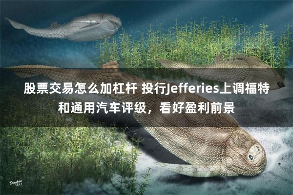 股票交易怎么加杠杆 投行Jefferies上调福特和通用汽车评级，看好盈利前景
