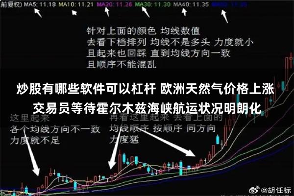 炒股有哪些软件可以杠杆 欧洲天然气价格上涨 交易员等待霍尔木兹海峡航运状况明朗化