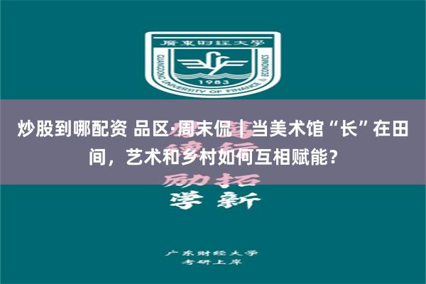 炒股到哪配资 品区·周末侃｜当美术馆“长”在田间，艺术和乡村如何互相赋能？