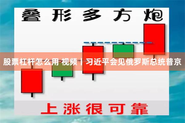 股票杠杆怎么用 视频丨习近平会见俄罗斯总统普京