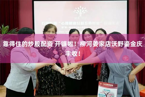 靠得住的炒股配资 开镰啦！柳河姜家店沃野鎏金庆丰收！